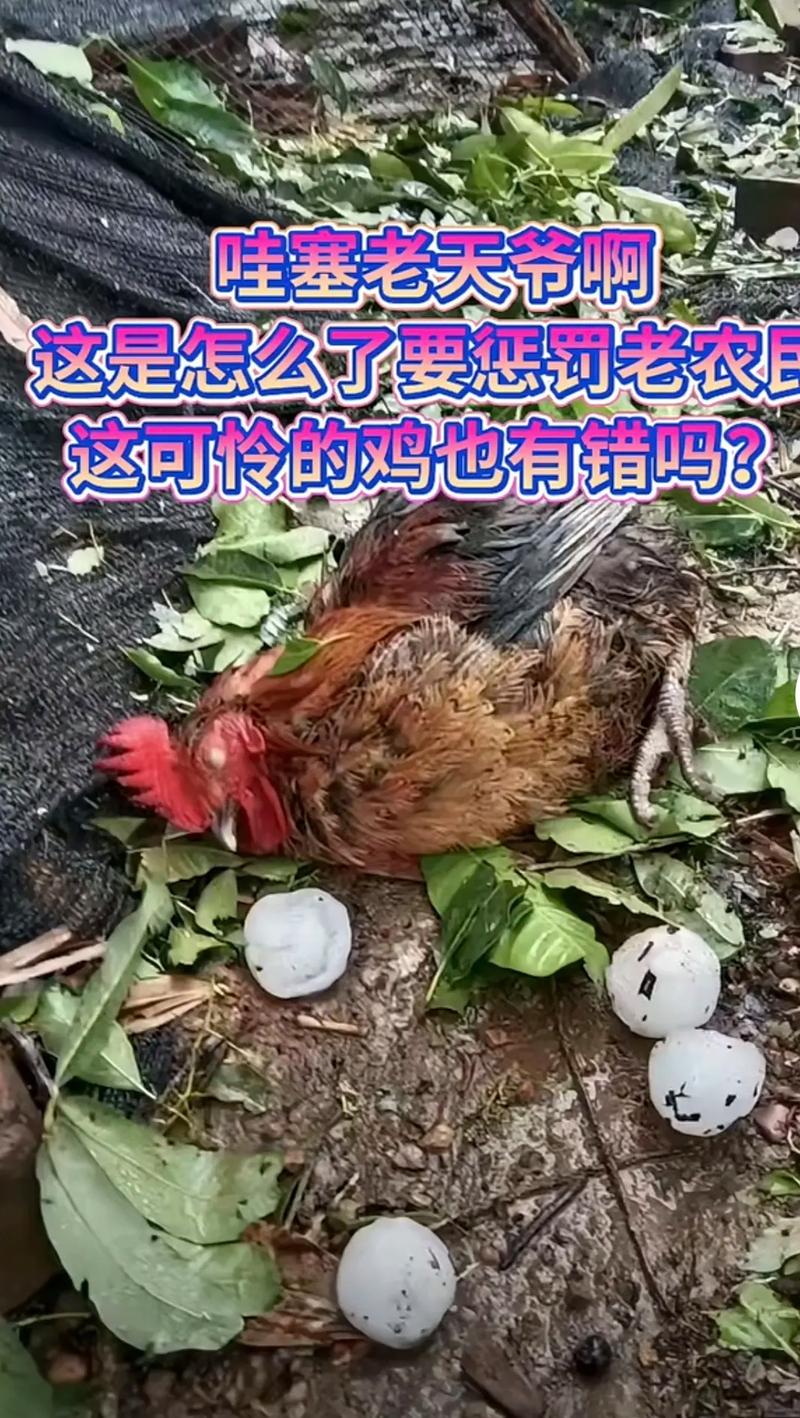 产品中心 第14页